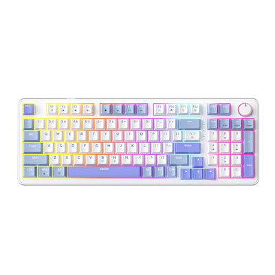 RGB Gaming Keyboard, 98 Keys USB Wired Keyboard with Rainbow Backlit, Volume Knob & Screen, Quiet Typing, Side-Printed PBT Keycaps for PC/Mac