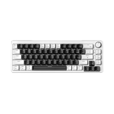 68-Key Wired Mechanical Keyboard, Gasket Mount Hot-Swappable with RGB & Silent Switches