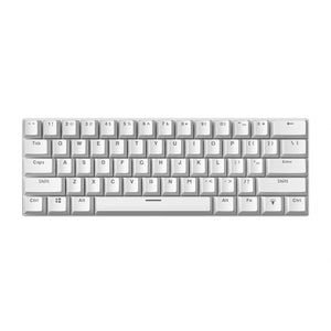 61-Key Dual-Tone Mechanical Gaming Keyboard, Hot-Swappable RGB Keyboard with Detachable Cable